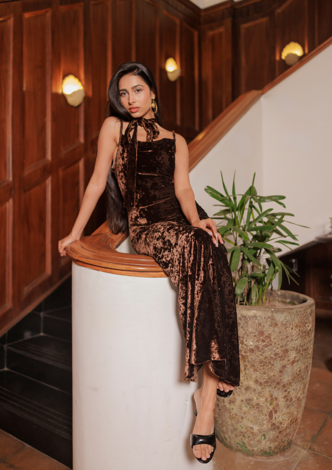 Walnut velvet dress